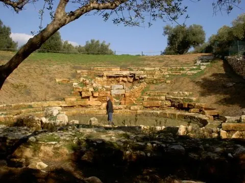 Stone seating of an ancient theatre among olive trees