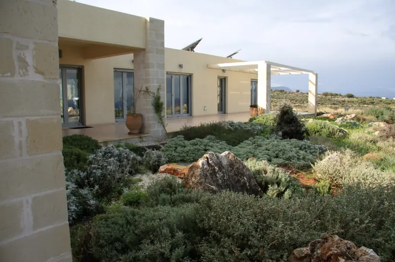Terrace and garden of native plants in front of the house