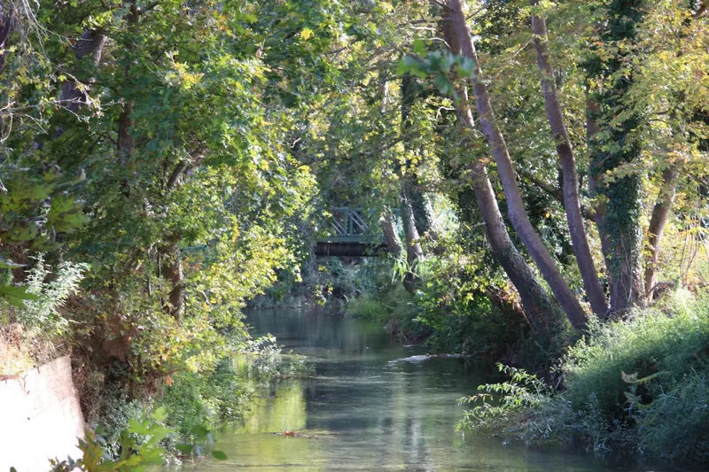 A part of the Kallikratis river where it winds through olive and orange groves on its way to the sea