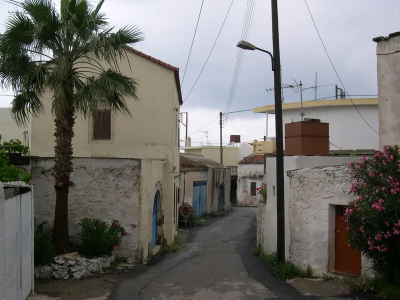 A street in Kokkino Xorio with a palm tree and old stone houses