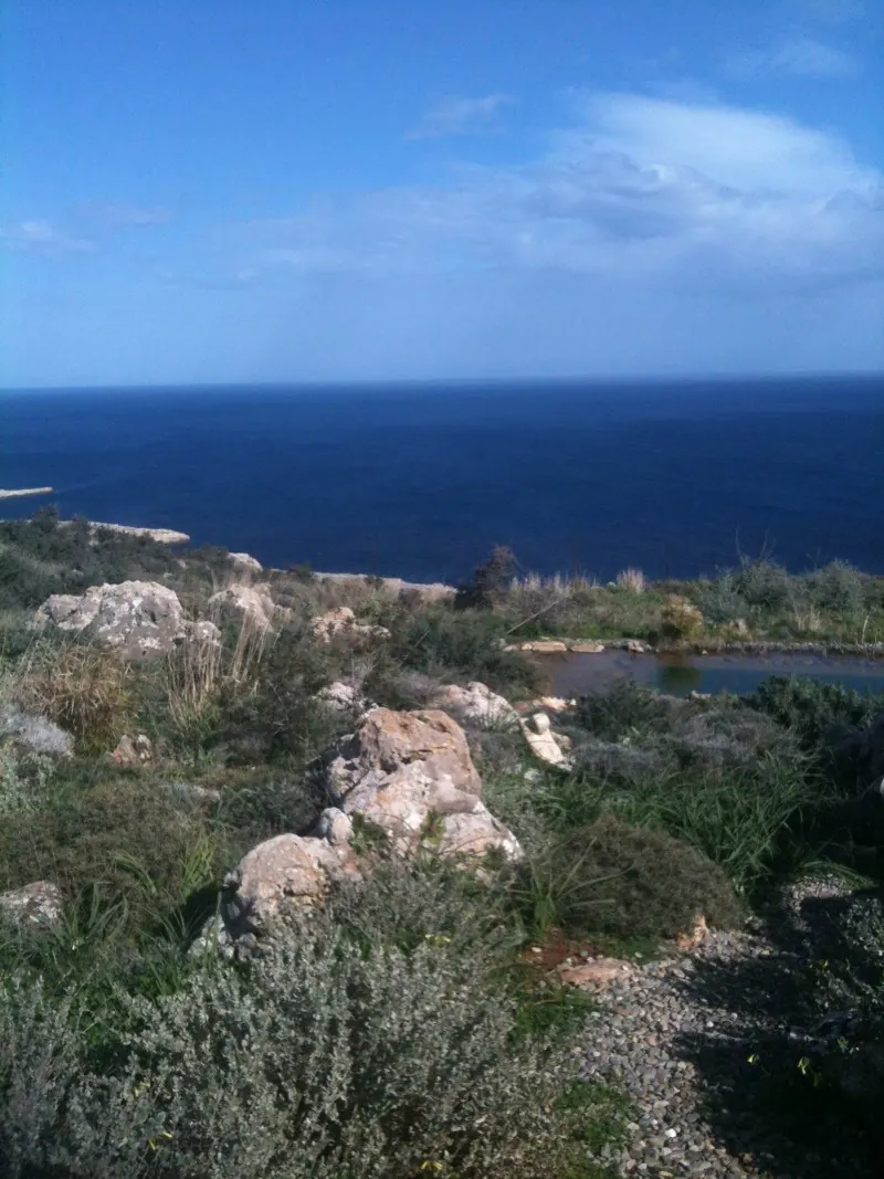 Rocky hillside with wild shrubs above a calm blue bay