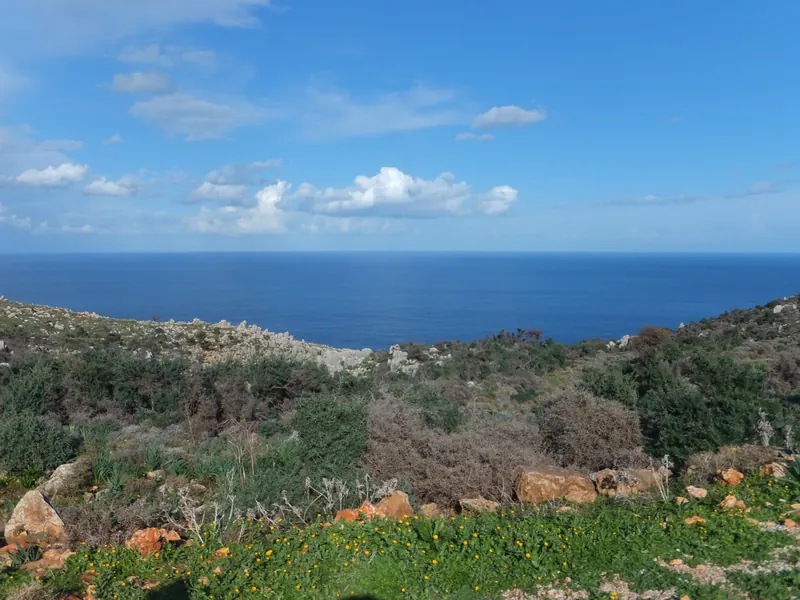 Green hillside running down to a deep blue sea under a sky of small white clouds
